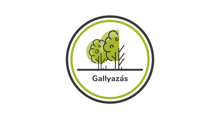 gallyazas 3